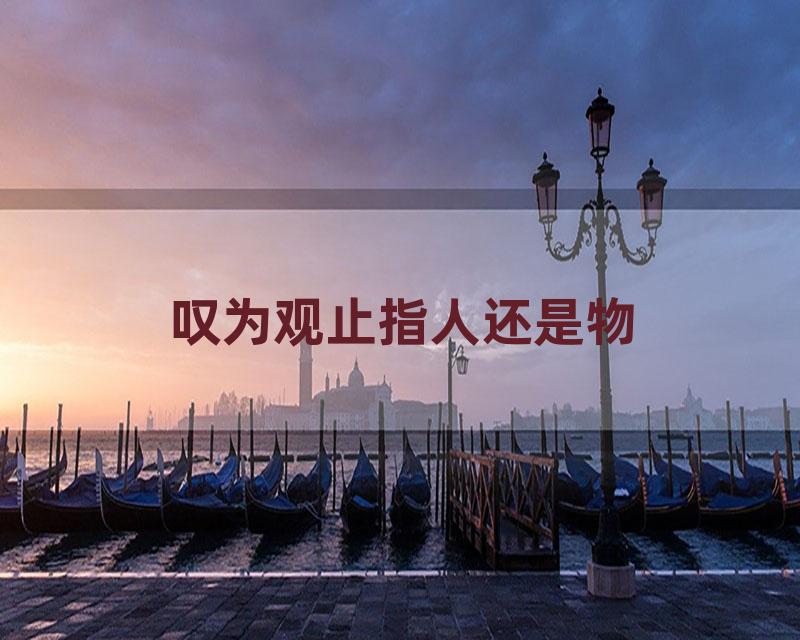 叹为观止指人还是物