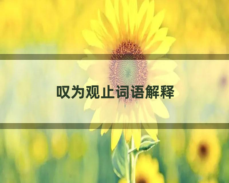 叹为观止词语解释
