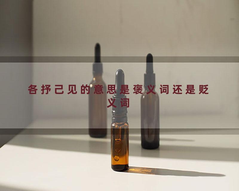 各抒己见的意思是褒义词还是贬义词