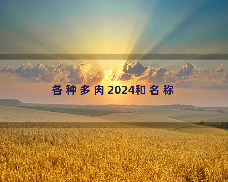 各种多肉2024和名称