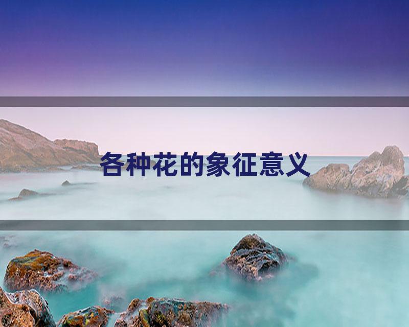 各种花的象征意义