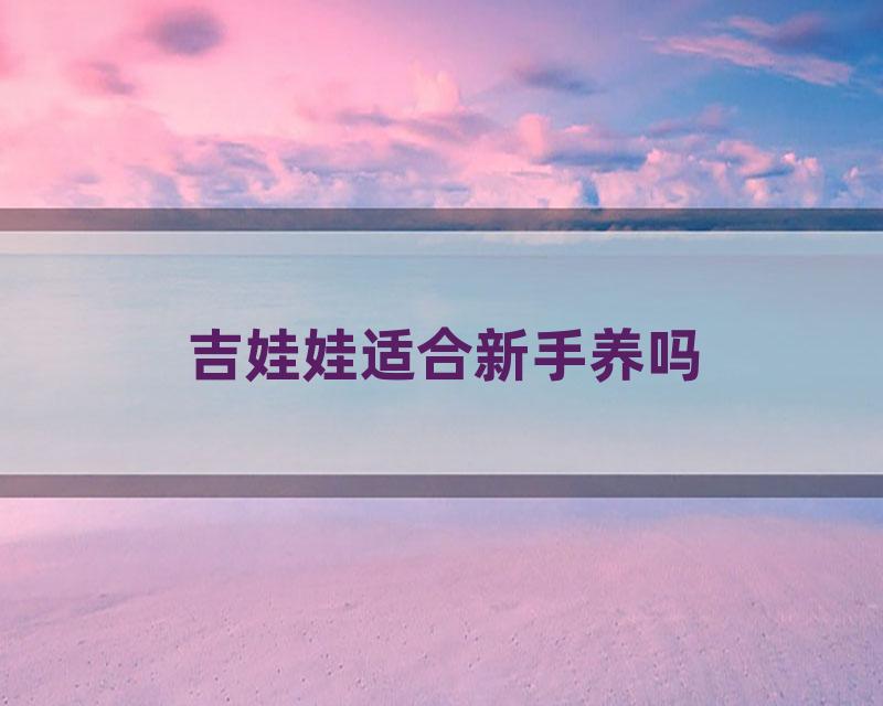 吉娃娃适合新手养吗