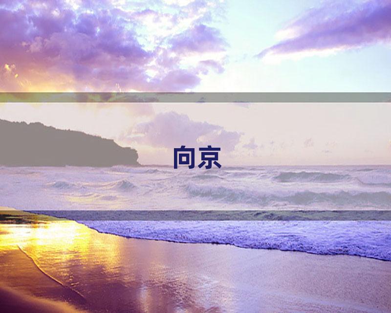 向京