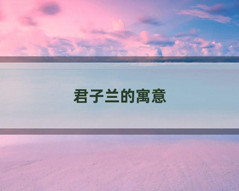君子兰的寓意