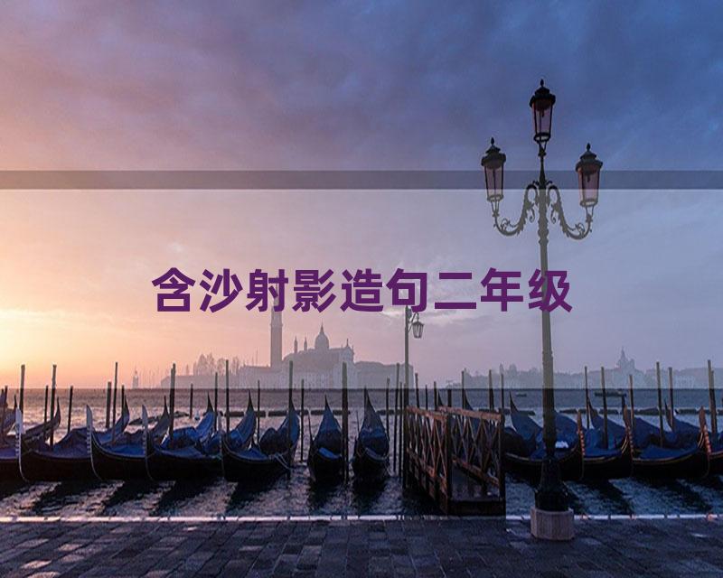 含沙射影造句二年级