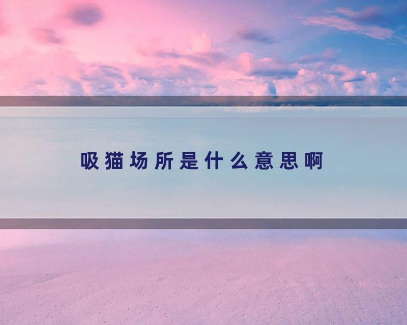 吸猫场所是什么意思啊