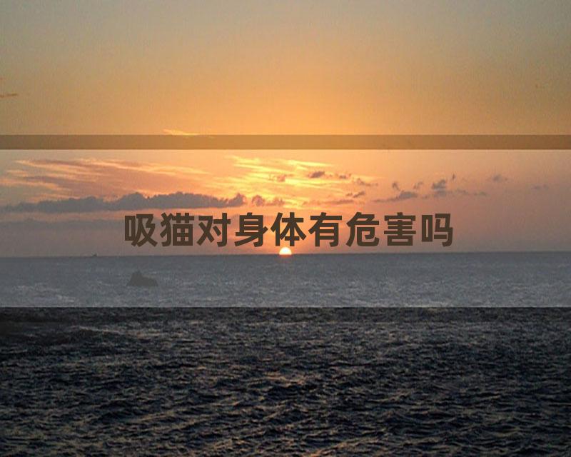 吸猫对身体有危害吗
