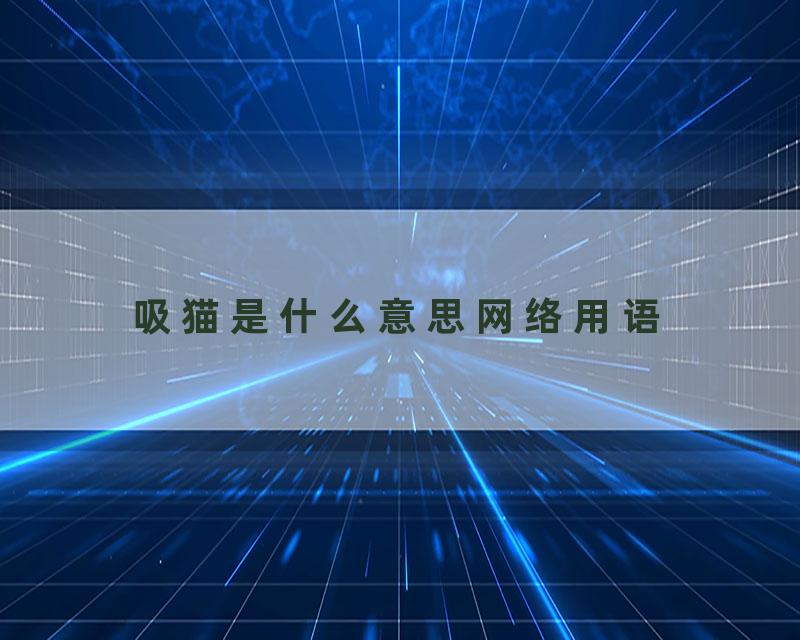 吸猫是什么意思网络用语