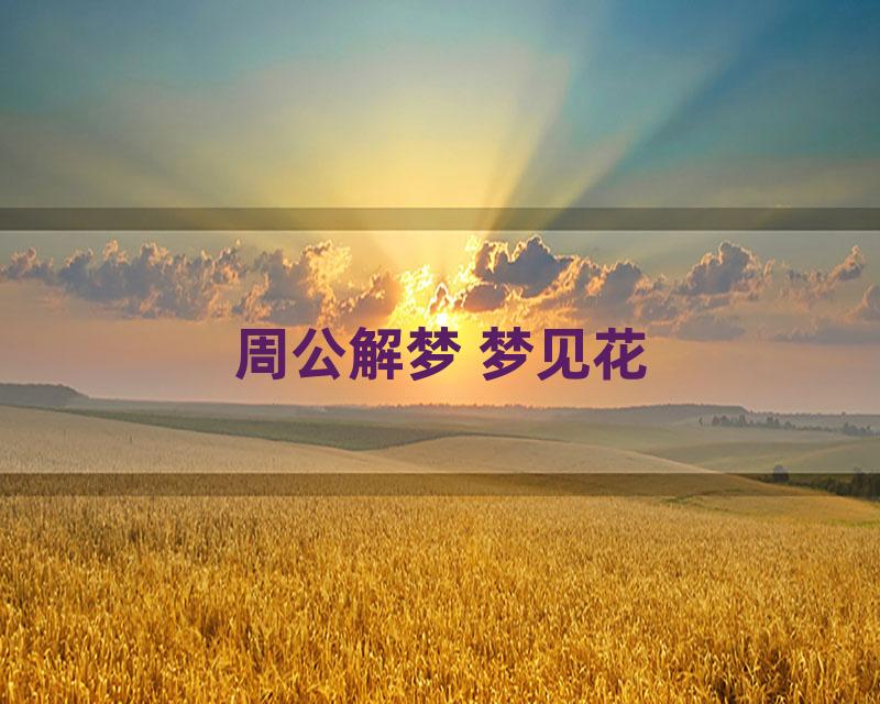 周公解梦 梦见花