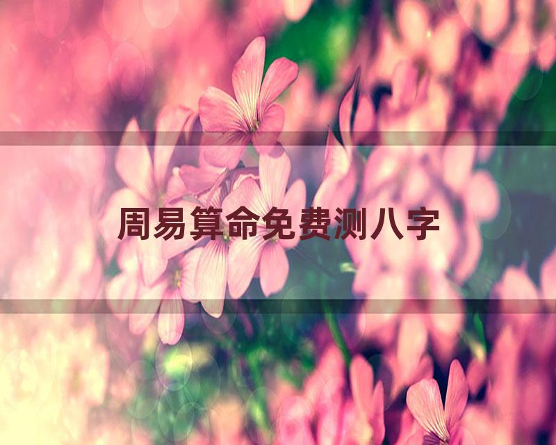 周易算命免费测八字