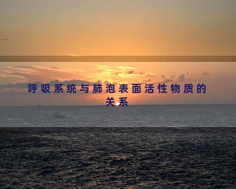 呼吸系统与肺泡表面活性物质的关系