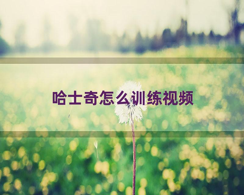 哈士奇怎么训练视频