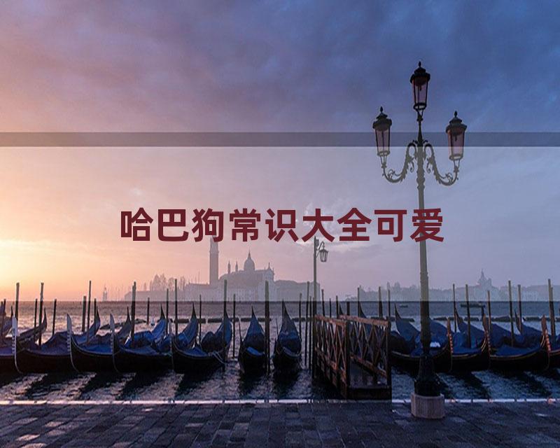 哈巴狗常识大全可爱