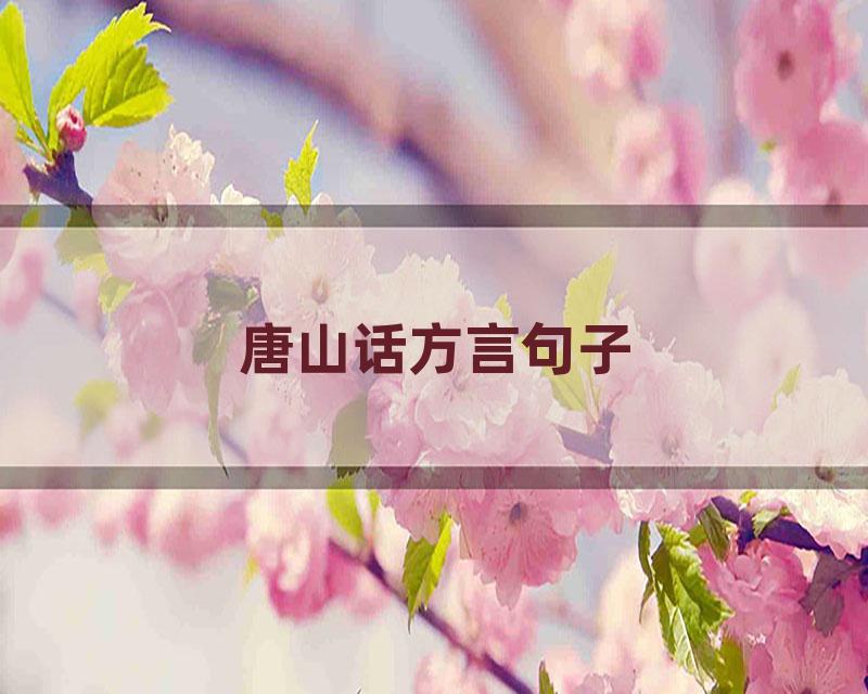 唐山话方言句子