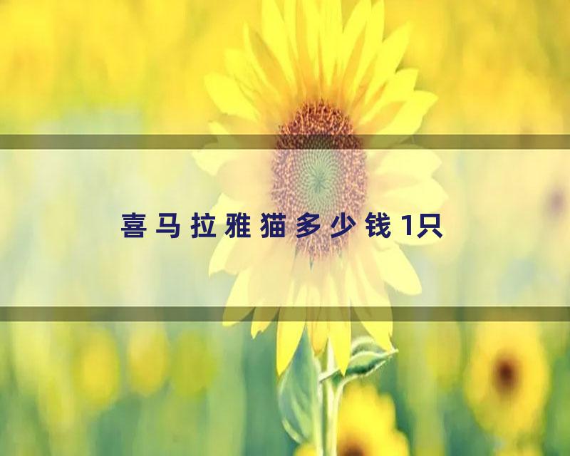 喜马拉雅猫多少钱1只