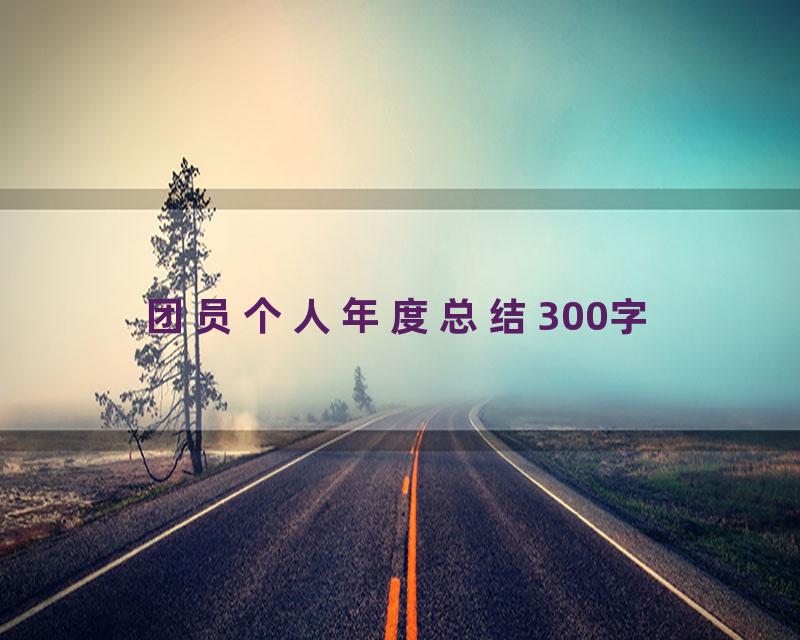 团员个人年度总结300字