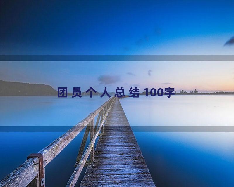 团员个人总结100字