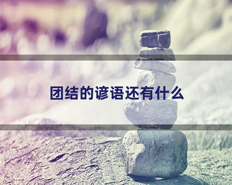 团结的谚语还有什么
