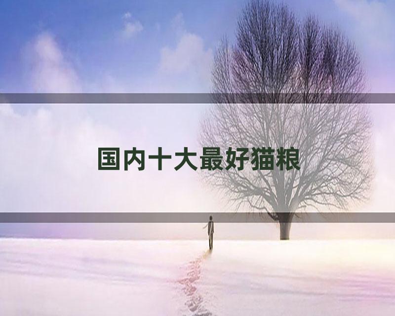 国内十大最好猫粮