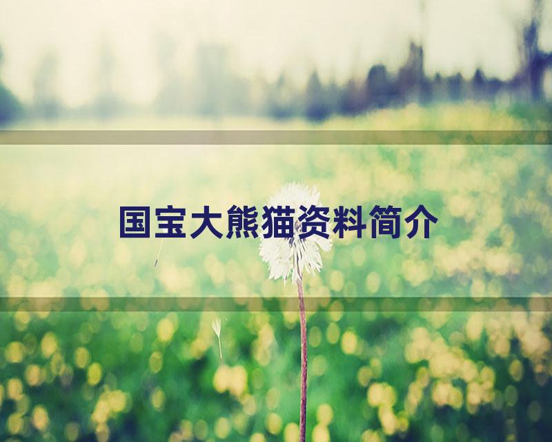 国宝大熊猫资料简介