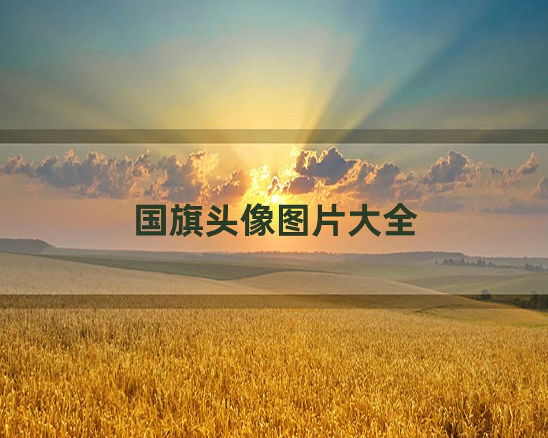 国旗头像图片大全