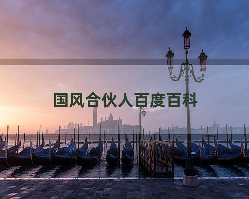 国风合伙人百度百科