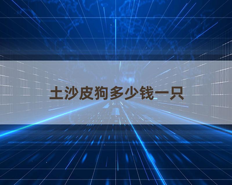 土沙皮狗多少钱一只