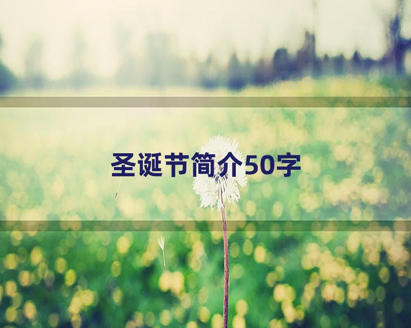 圣诞节简介50字