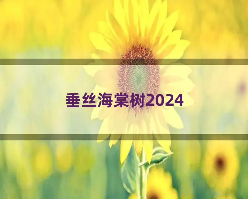 垂丝海棠树2024