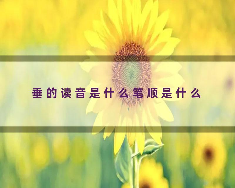 垂的读音是什么笔顺是什么