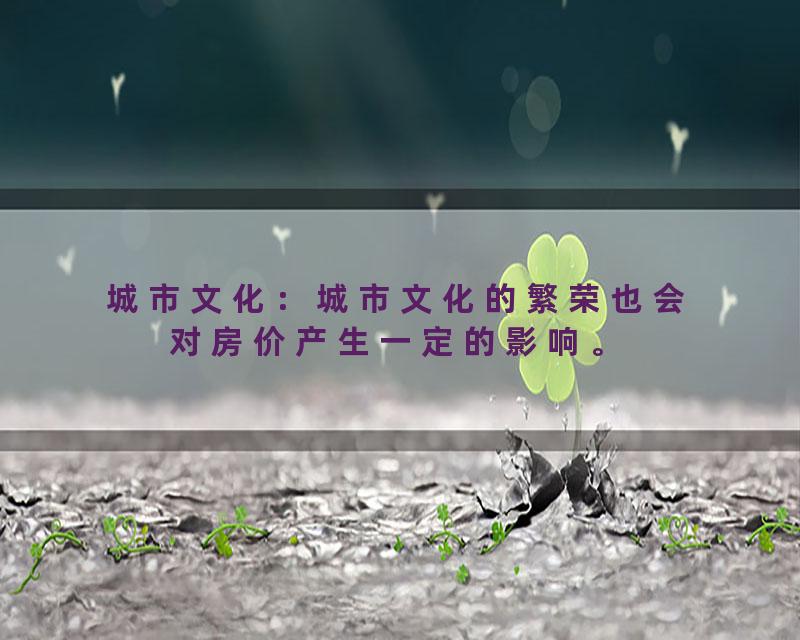 城市文化：城市文化的繁荣也会对房价产生一定的影响。