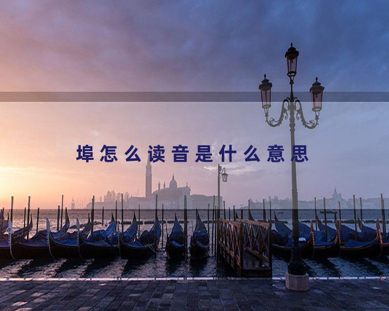 埠怎么读音是什么意思