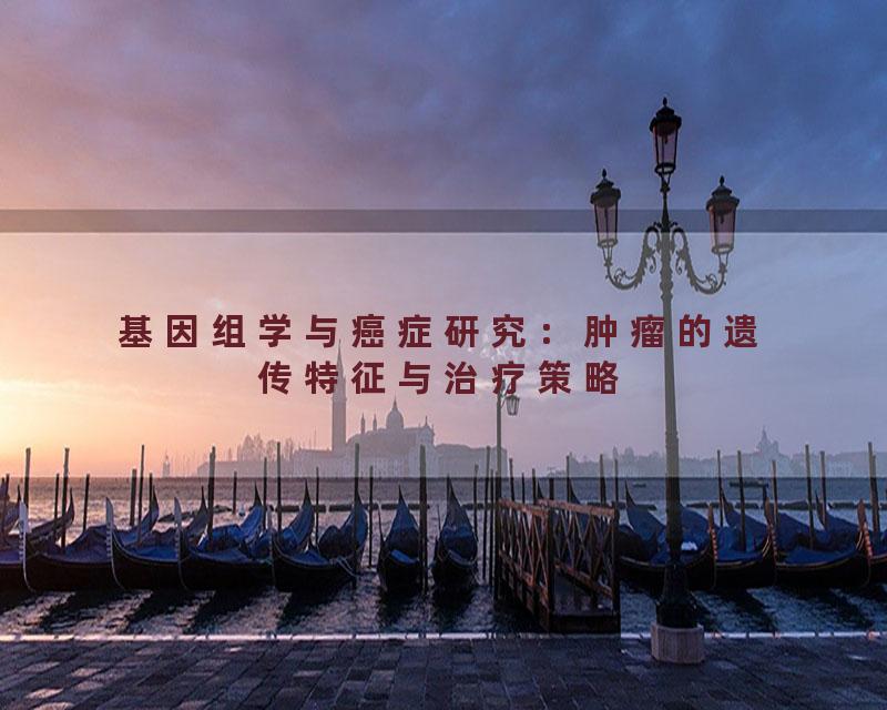 基因组学与癌症研究：肿瘤的遗传特征与治疗策略