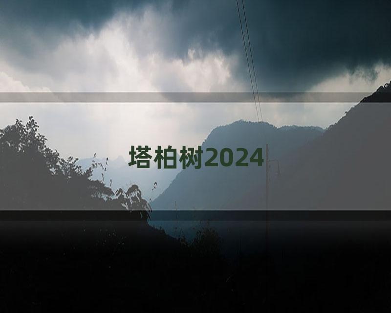 塔柏树2024
