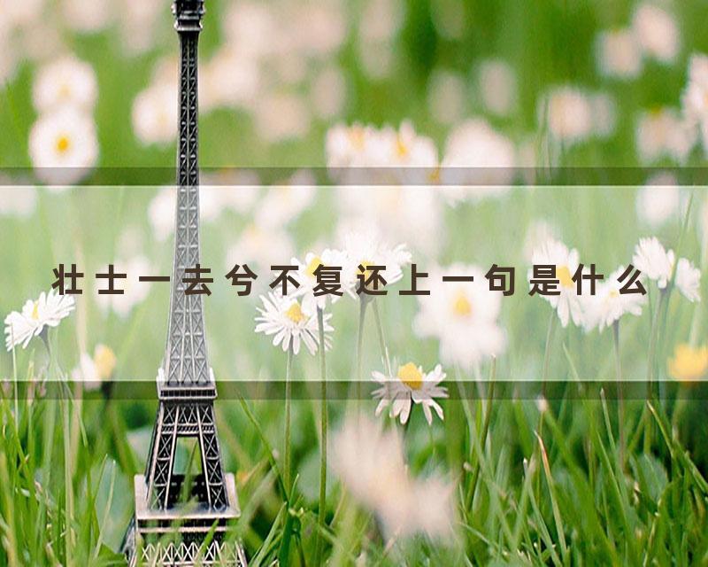 壮士一去兮不复还上一句是什么