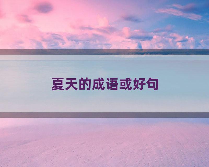 夏天的成语或好句
