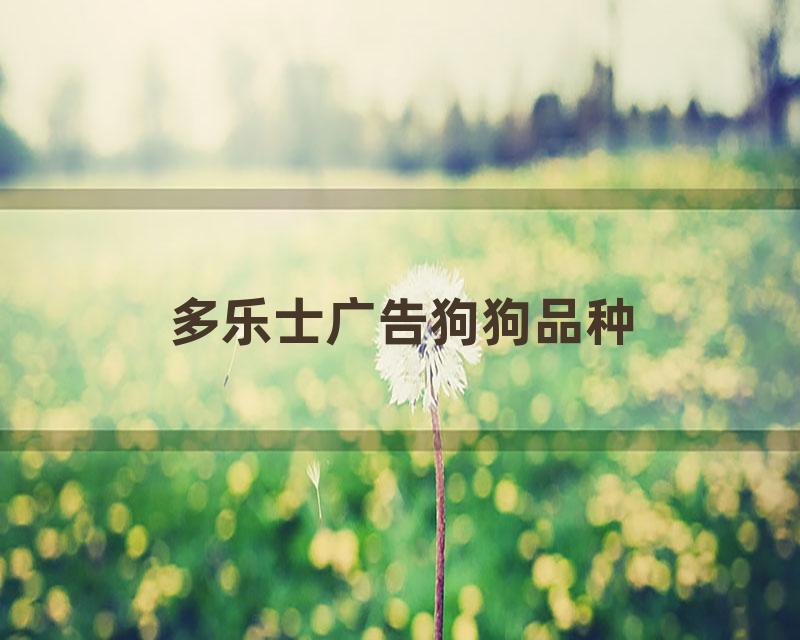 多乐士广告狗狗品种