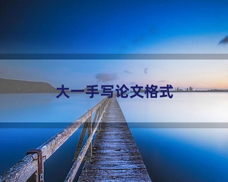 大一手写论文格式
