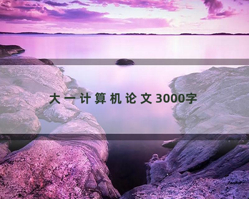大一计算机论文3000字