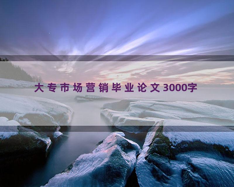 大专市场营销毕业论文3000字