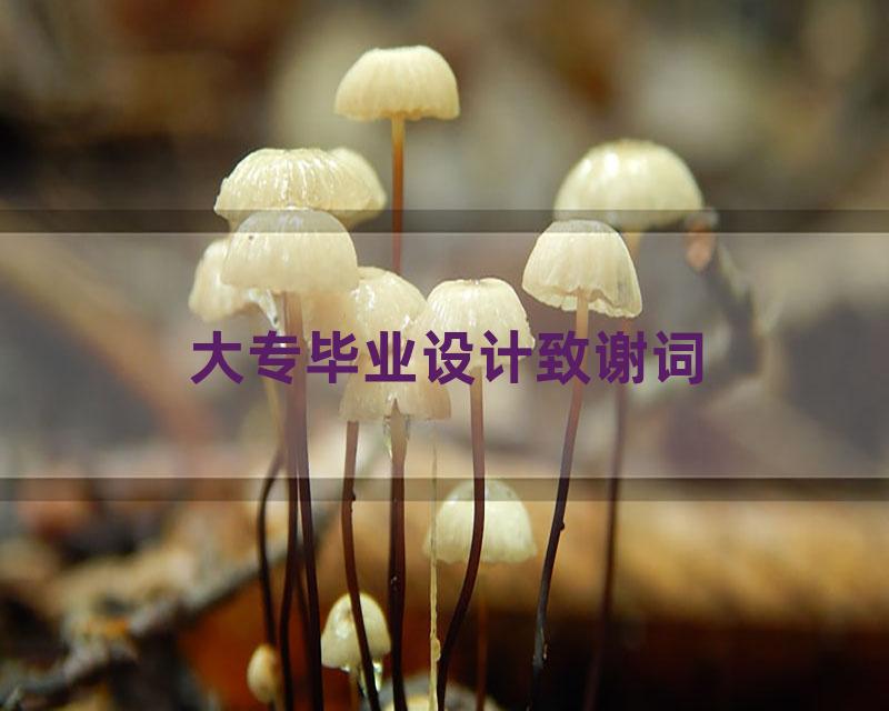 大专毕业设计致谢词