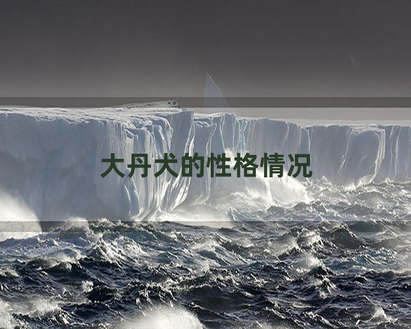 大丹犬的性格情况