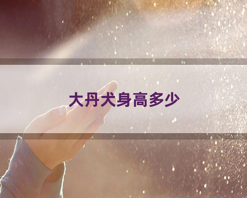 大丹犬身高多少