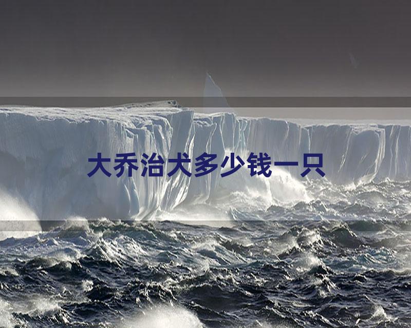 大乔治犬多少钱一只