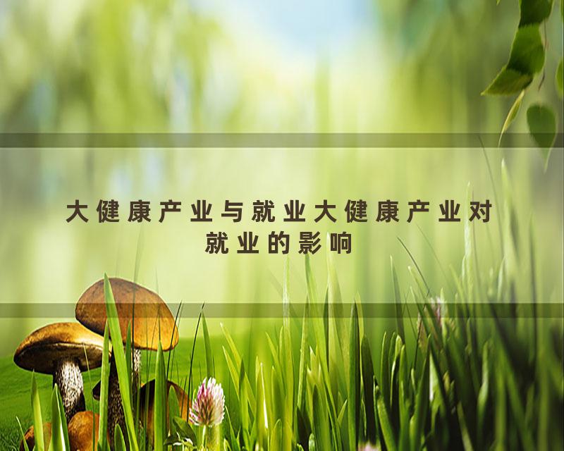 大健康产业与就业大健康产业对就业的影响