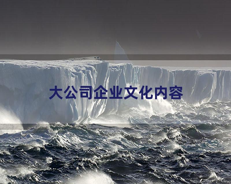 大公司企业文化内容