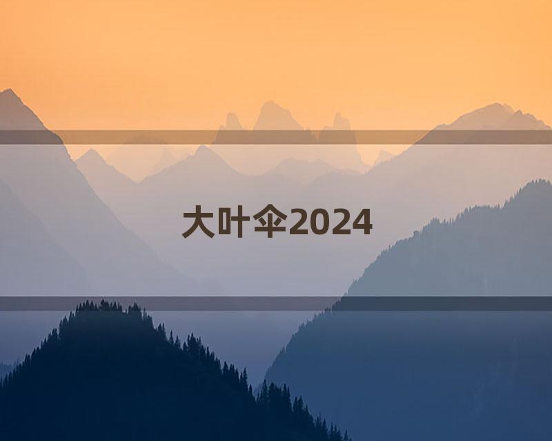 大叶伞2024