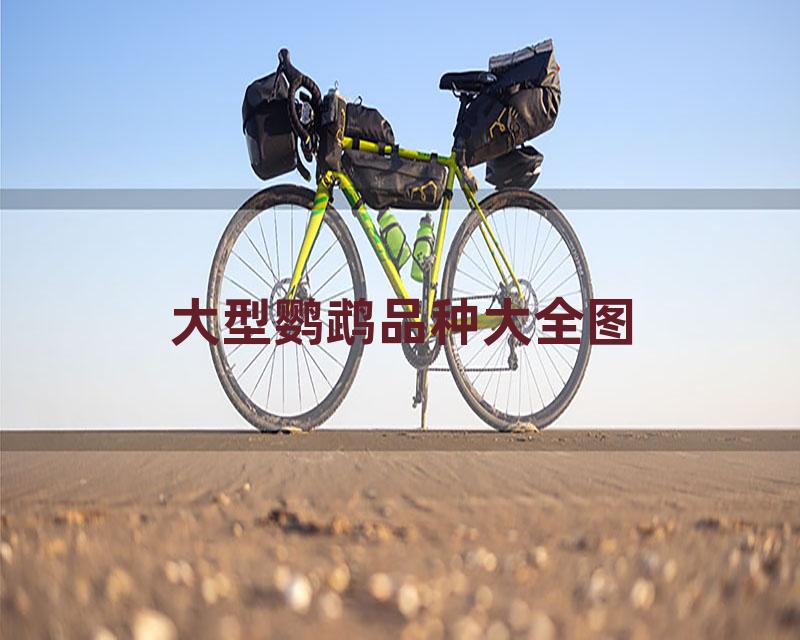 大型鹦鹉品种大全图