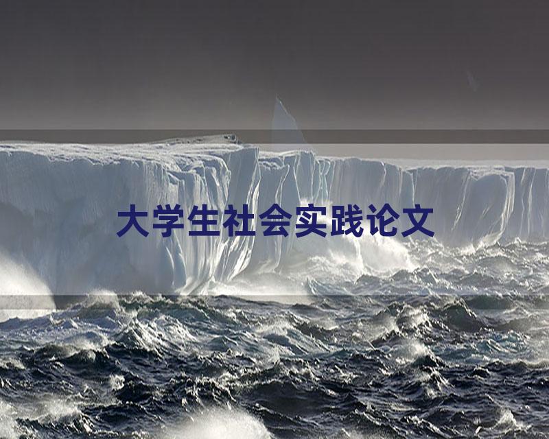 大学生社会实践论文