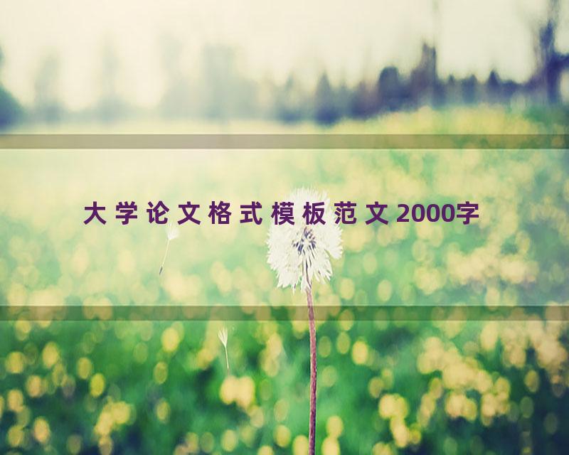 大学论文格式模板范文2000字